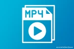 Pemanfaatan Format Video MP4 (MPEG-4 Part 14)