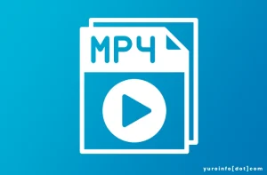 Pemanfaatan Format Video MP4 (MPEG-4 Part 14)