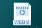 Pemanfaatan Format Video WebM yang Populer