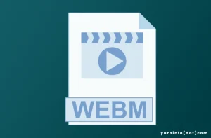 Pemanfaatan Format Video WebM yang Populer