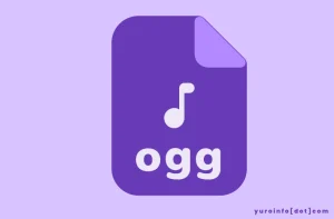 Pemanfaatan OGG di Dunia Digital