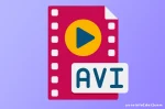 Sejarah Format AVI (Audio Video Interleave)