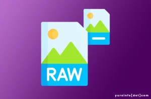Sejarah Format Gambar RAW, Yuk Cari Tahu