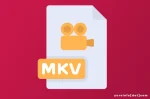 Sejarah MKV (Matroska Multimedia Container)