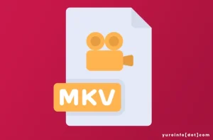 Sejarah MKV (Matroska Multimedia Container)