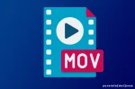 Sejarah MOV, Format File Multimedia