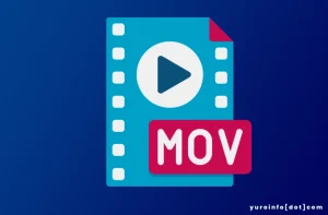 Sejarah MOV, Format File Multimedia