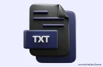 Sejarah TXT (Plain Text) dalam Komputasi Modern