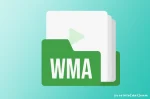 Sejarah WMA (Windows Media Audio)