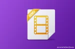 Sejarah WMV (Windows Media Video)