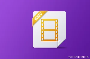 Sejarah WMV (Windows Media Video)