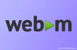 Sejarah WebM, Format Video Efisien