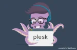 Kelebihan Plesk, Platform Manajemen Hosting