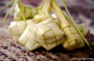 Proses Pembuatan Ketupat, Hidangan Khas Indonesia